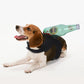 6 Types Funny Animals Cosplay Clothes for Holloween Party Pets Halloween Costumes Dog Cats