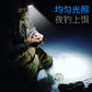 Factory direct approval strong light headlight led outdoor lighting head-mounted flashlight night fishing cob charging small headlight cross border
